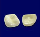 ジルコニアセラミックスタンダード臼歯部